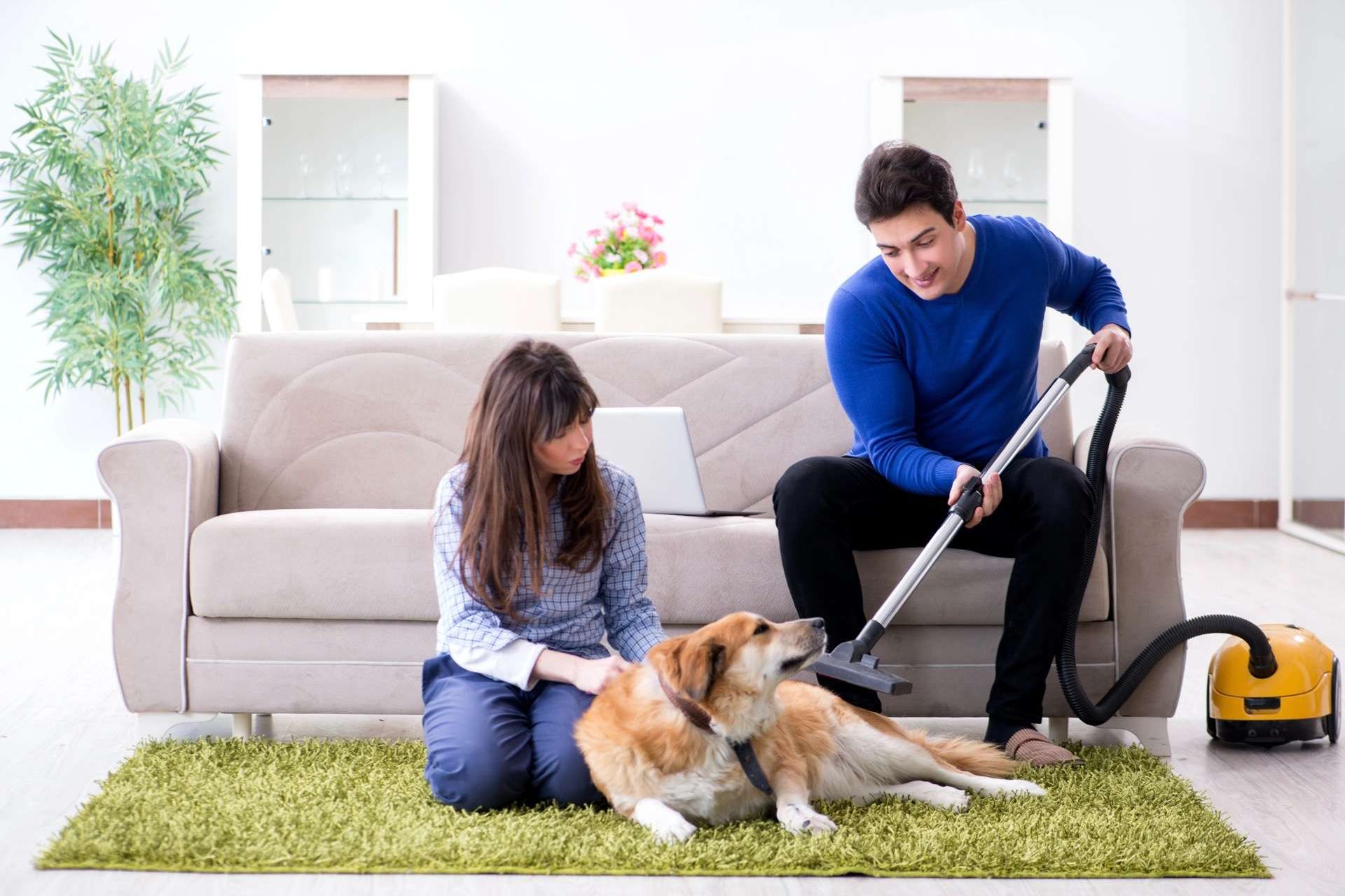 hero-4-49a7d5fd image Expert Tips for a Sparkling Space in Gainesville GA