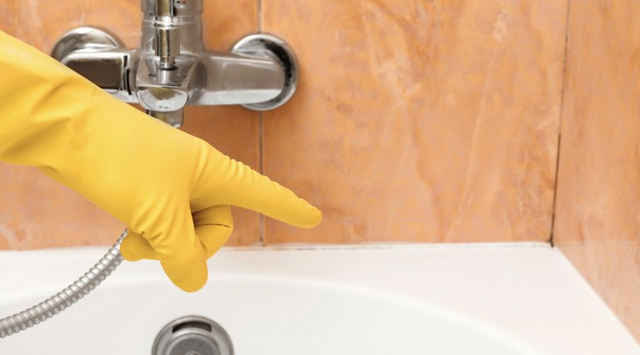 Bathroom Mold Prevention: Tips to Prevent &amp; Get Rid of Mold