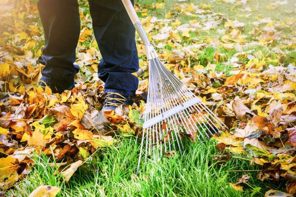 cozy-fall-indoor-cleaning-routine-87e41c80 image Cozy Fall Indoor Cleaning Routine in Gainesville & Cumming, GA