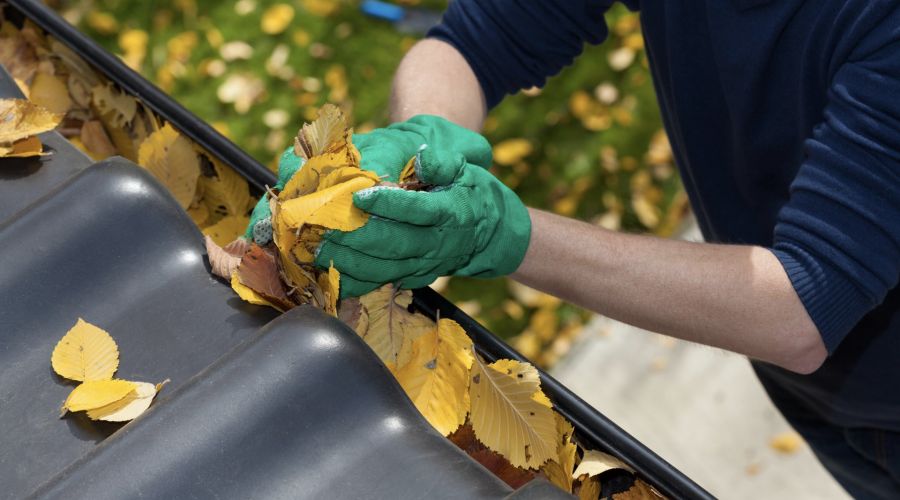 Gutter Cleaning Best Practices