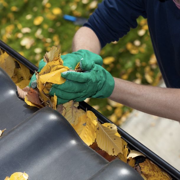 Gutter Cleaning Best Practices