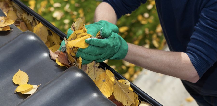 Gutter Cleaning Best Practices