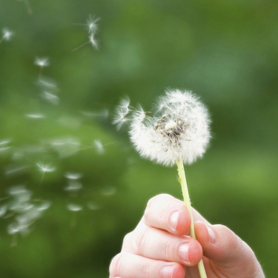 How to Tackle Georgia’s Pollen Season and Avoid Allergies